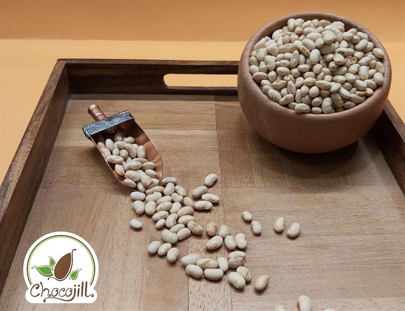 دانه سویا
